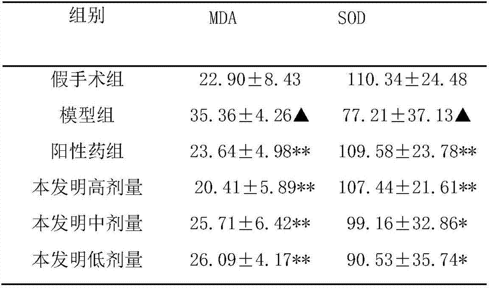 Traditional Chinese medicine composition for treating Alzheimer's disease