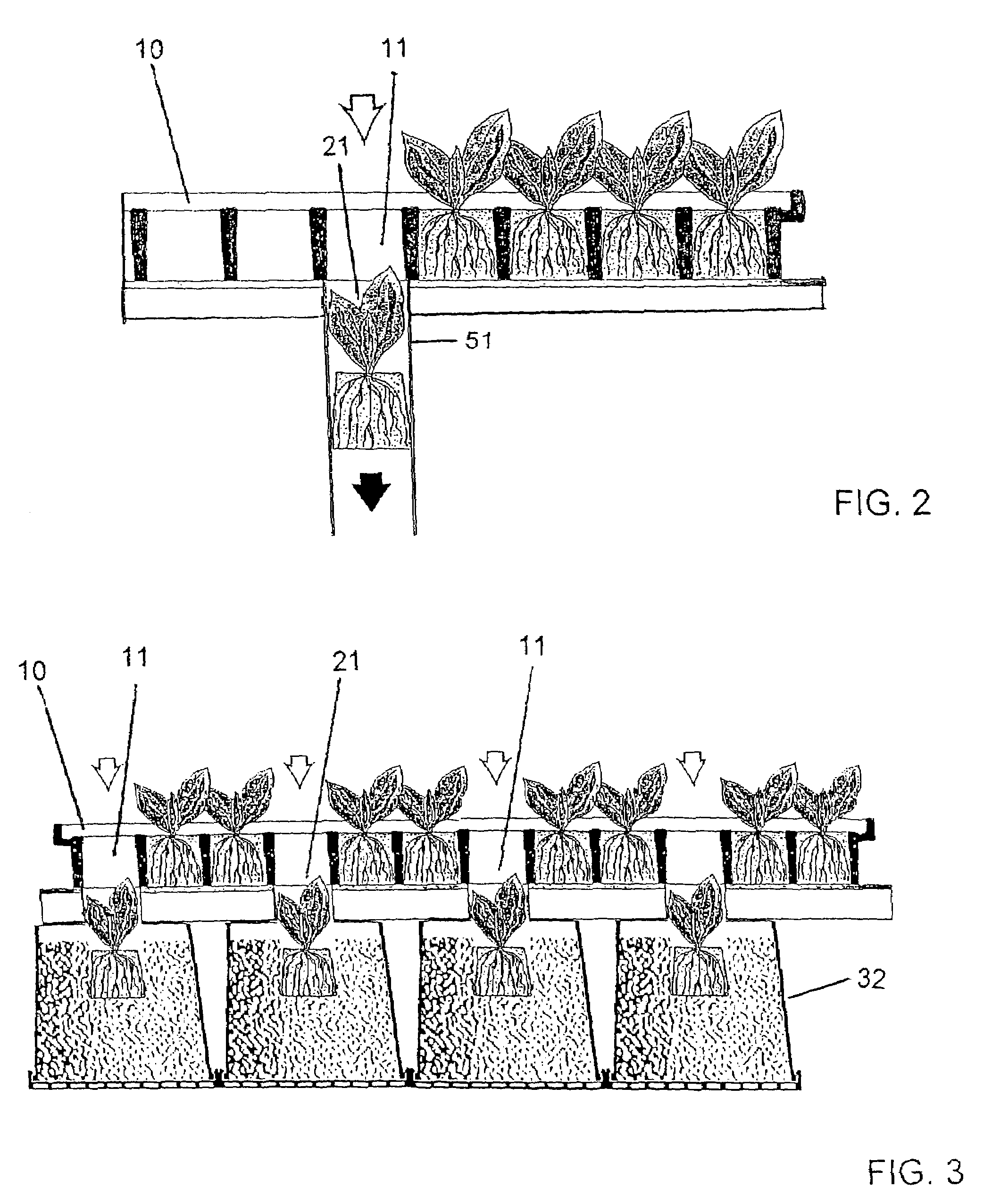 Air-pruning tray/container matrix transfer and transplanting system and methods