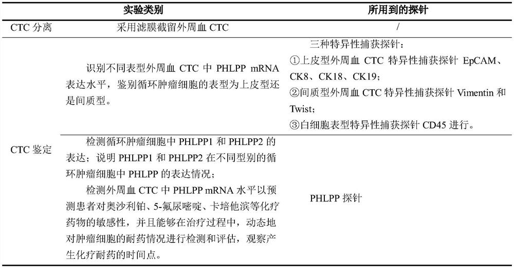 Colorectal cancer chemotherapeutic drug sensitivity prediction marker probe and application