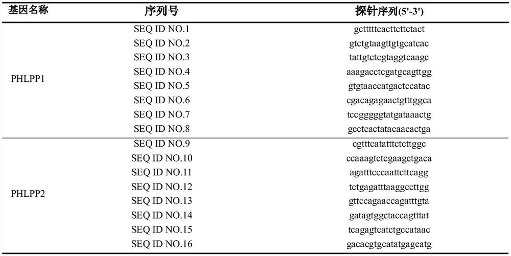 Colorectal cancer chemotherapeutic drug sensitivity prediction marker probe and application