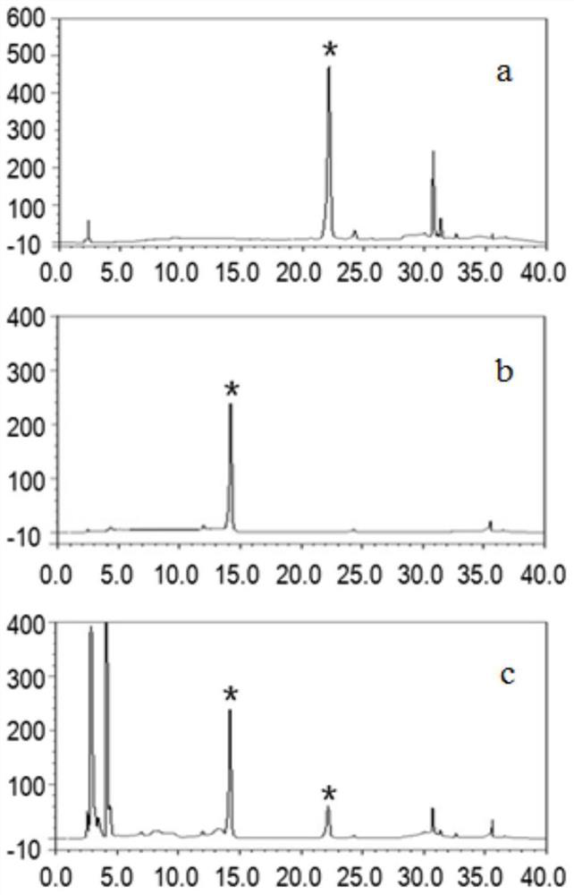 A genetically engineered bacterium that catalyzes the glucosidation of flavonoids and its application