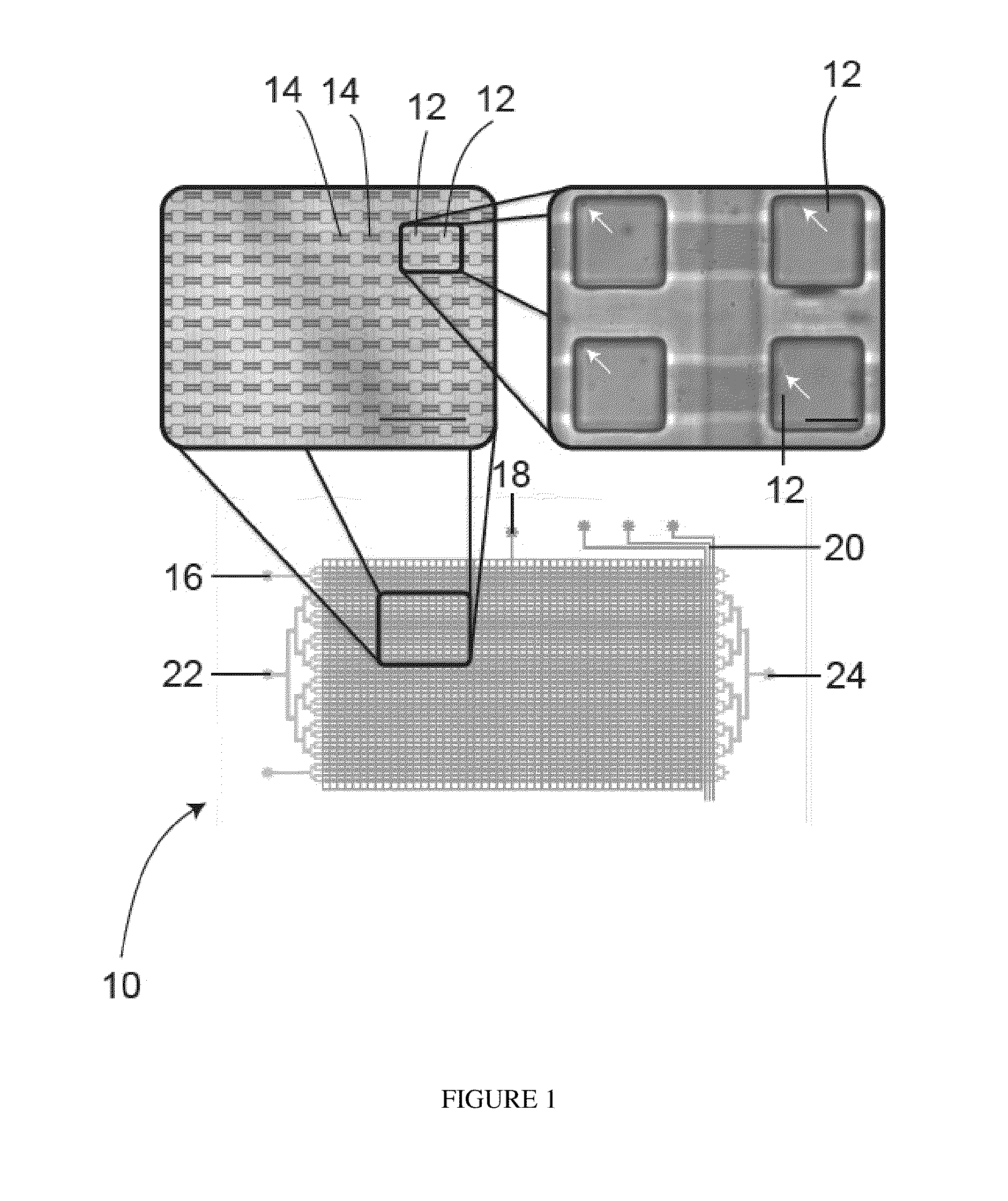 System and method for microfluidic cell culture