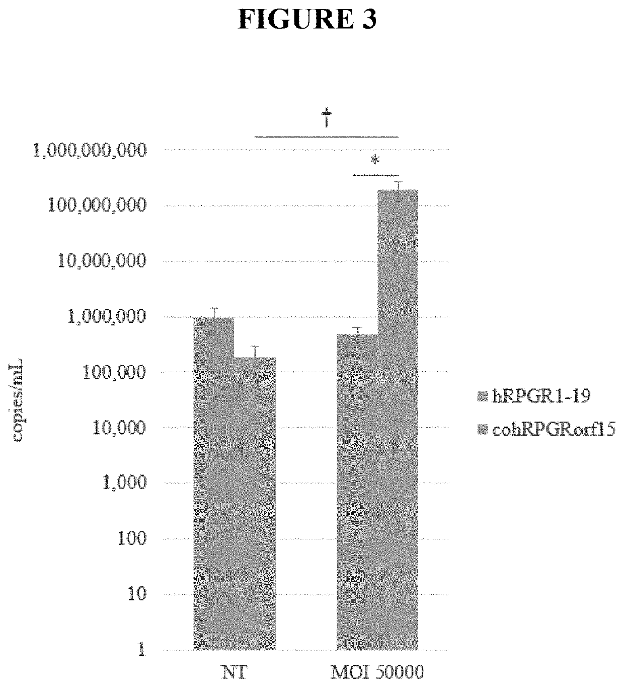 Codon optimized rpgrorf15 genes and uses thereof