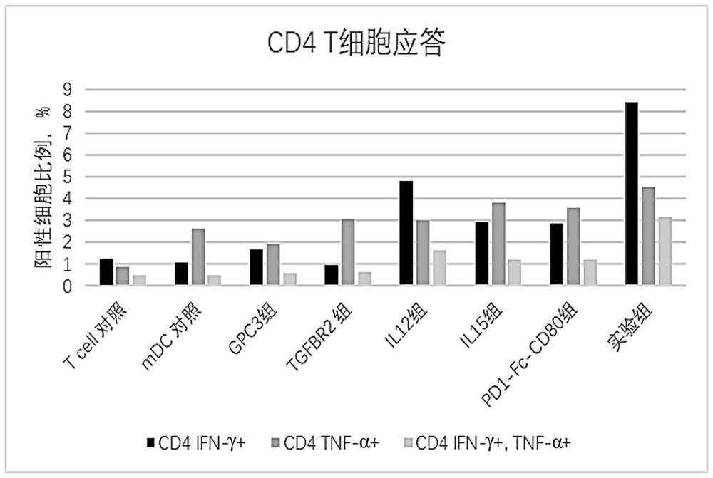 Immunomodulatory composition and application thereof