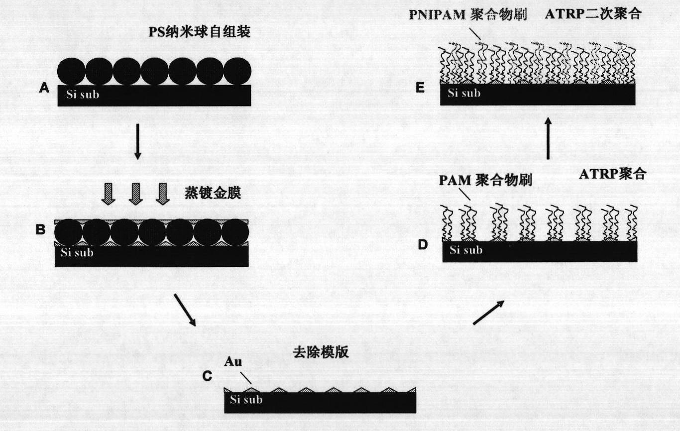 Method for preparing nanometer patterning bipolymer brush