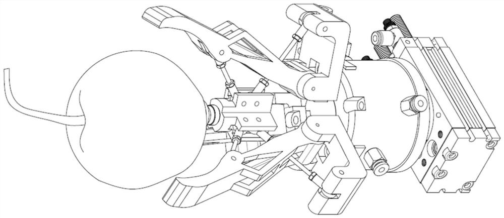 A multi-claw pneumatic non-destructive fruit and vegetable picking manipulator with human-like picking action