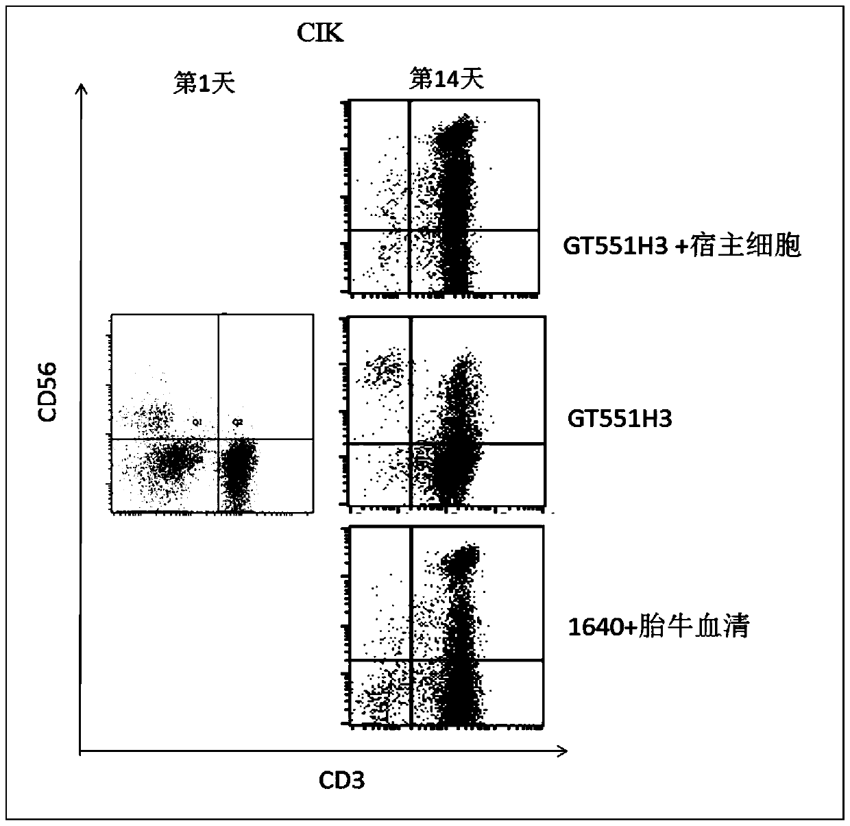 A method for amplifying and activating lak cells without fetal bovine serum