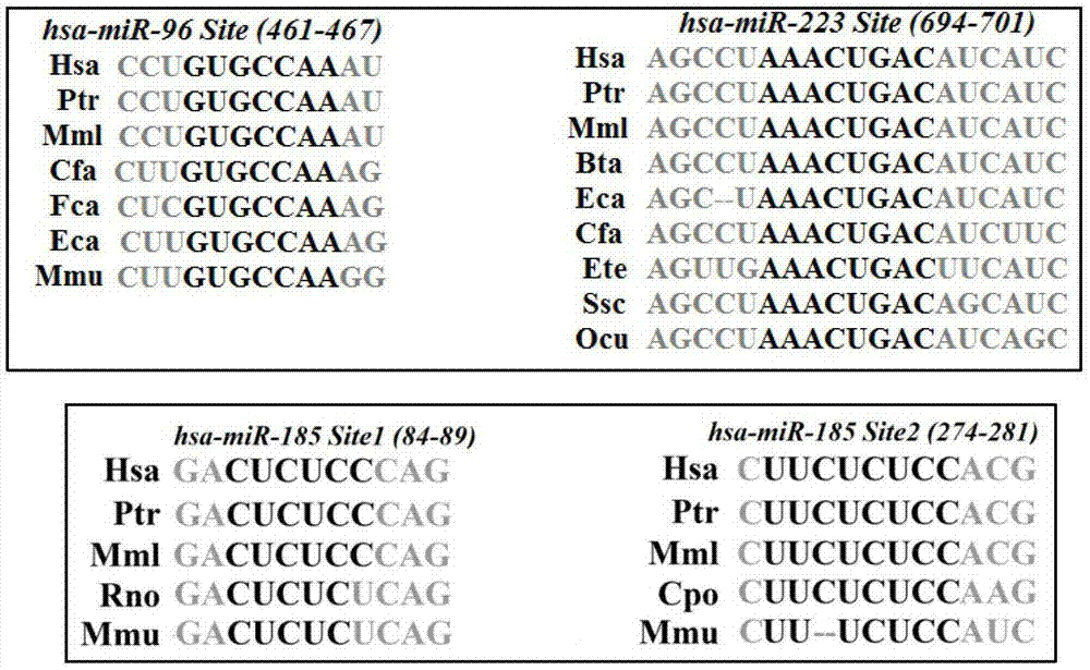 Application of MicroRNA or Its Inhibitors in the Regulation of Lipid Metabolism