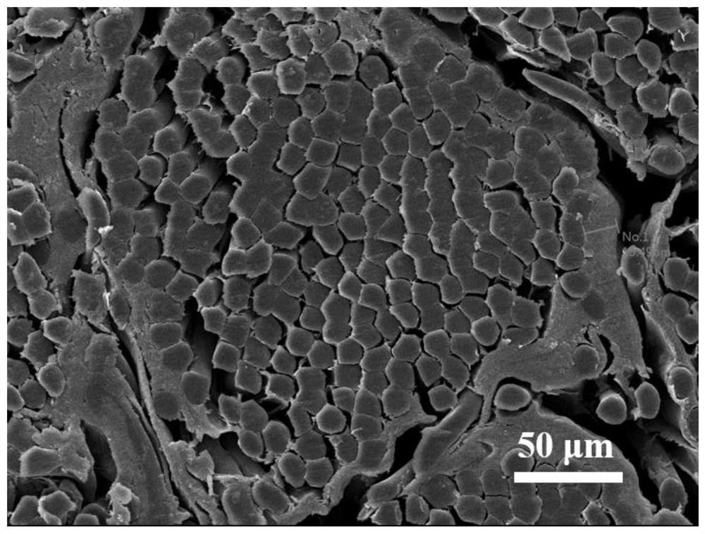 Preparation method of layer-by-layer self-assembled semiconductor fiber and transistor sensor