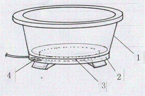 Washtub with electric heater