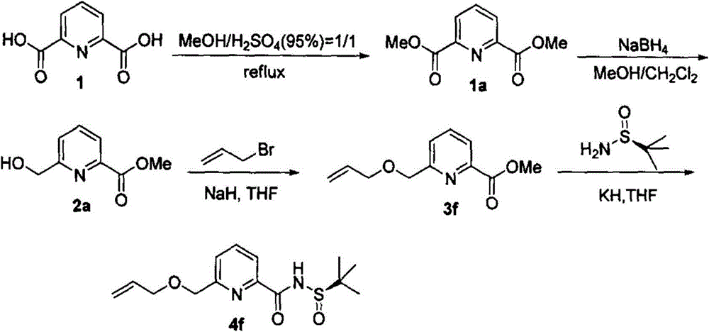 Chiral nitrogen-sulfur bidentate ligand and synthesis method and application thereof