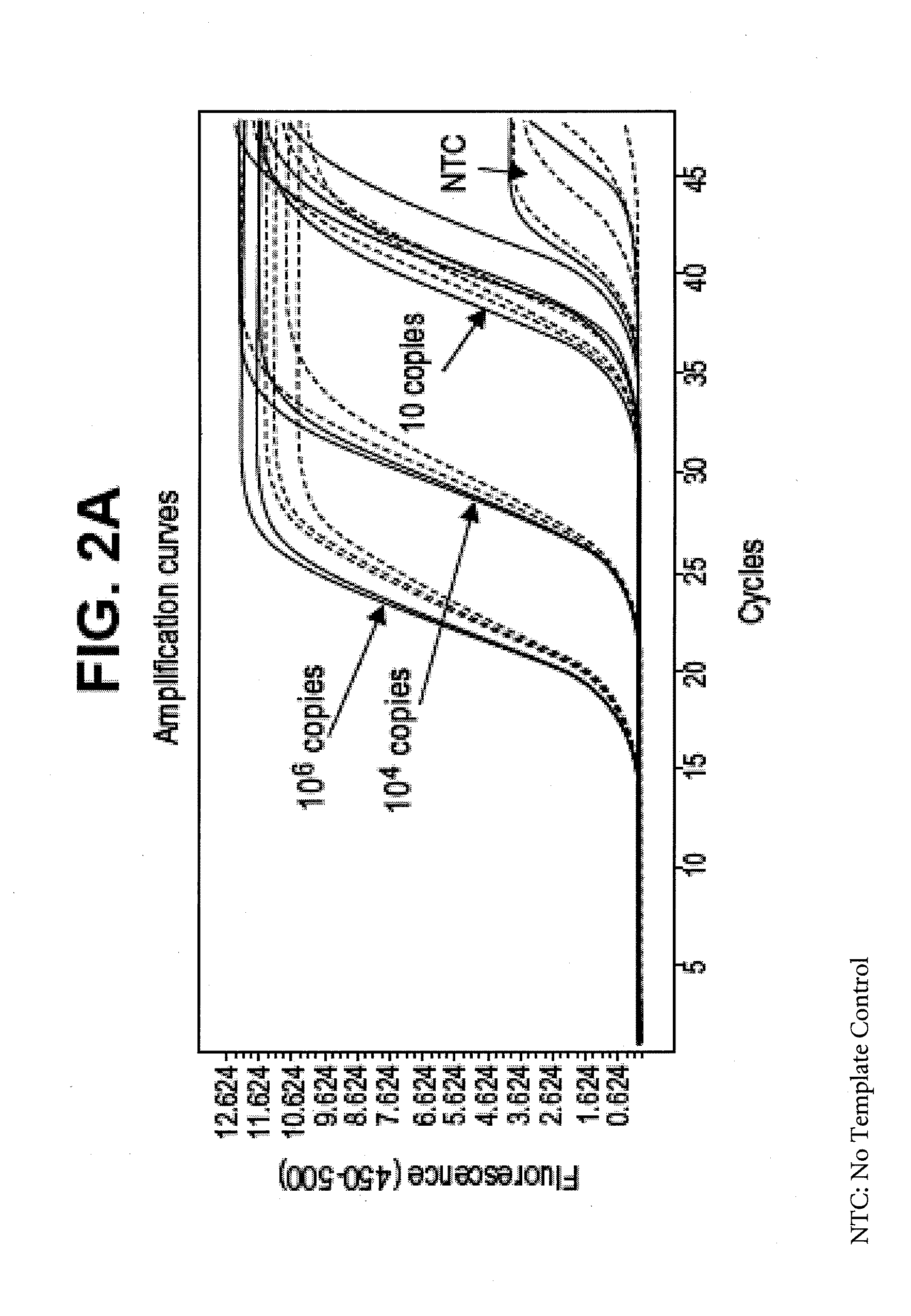 Method for the prevention of carryover contamination in nucleic acid amplification technologies