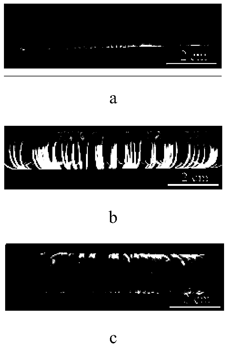 Composite luminescent fiber and preparation method and application thereof