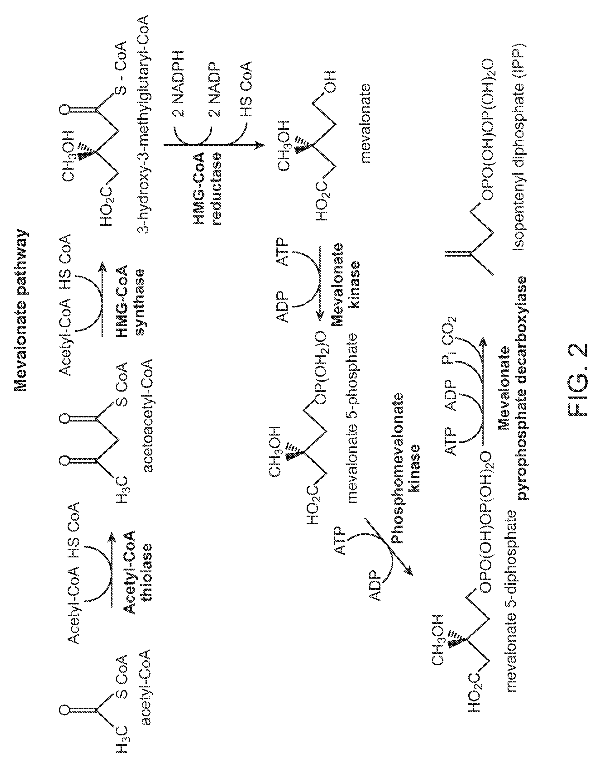 Artemisinic epoxide and methods for producing same