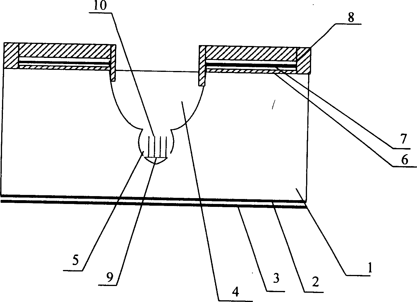 Panel display having precise location trap anode array strcture and its manufacturing technology