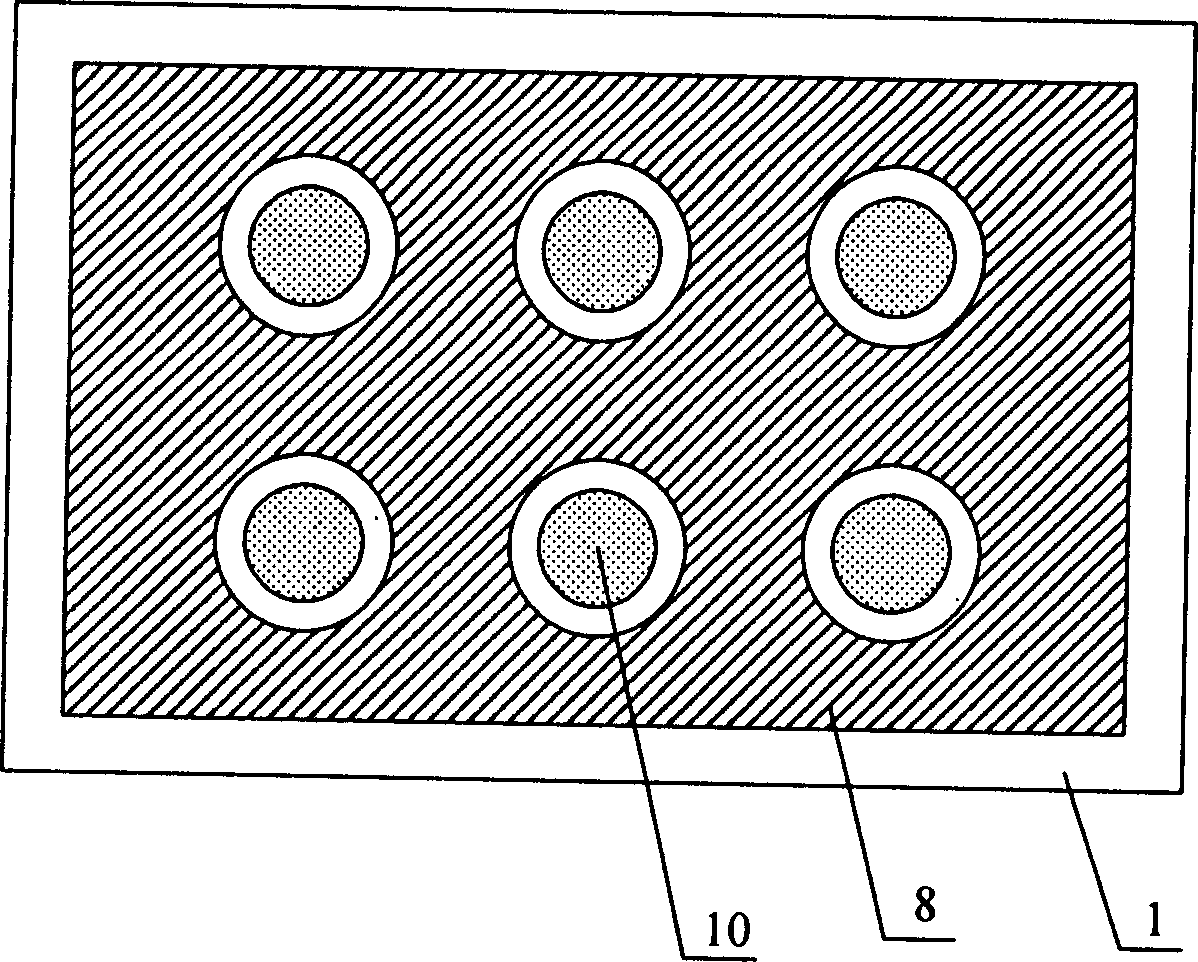 Panel display having precise location trap anode array strcture and its manufacturing technology