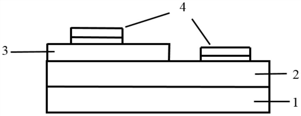 Mg-doped enhanced transition metal sulfide-based visible light detector and preparation method thereof