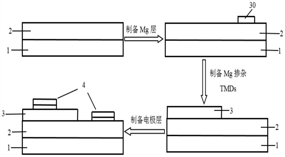 Mg-doped enhanced transition metal sulfide-based visible light detector and preparation method thereof