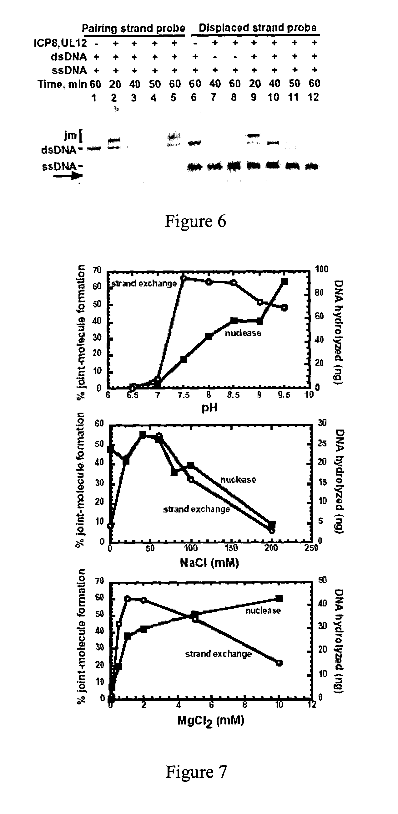 Viral recombinases, related articles, and methods of use thereof