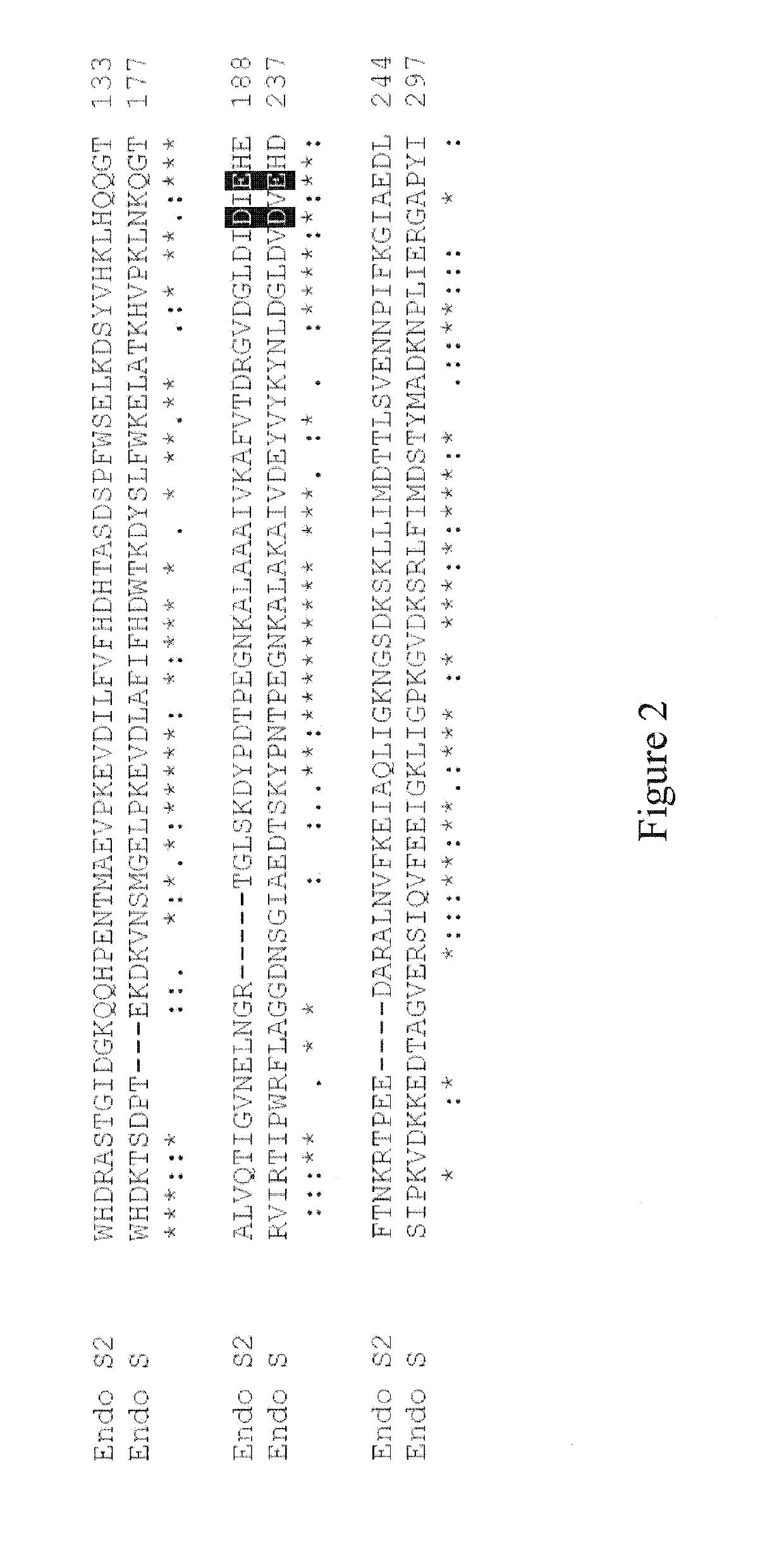 Endo-s2 mutants as glycosynthases, method of making and use for glycoengineering of glycoproteins