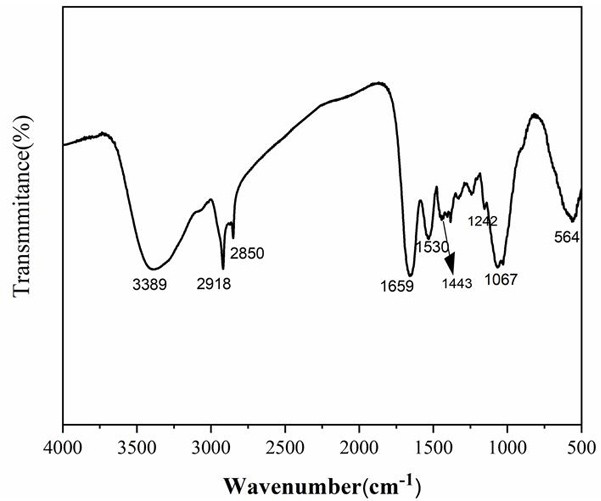 A kind of magnetic adsorbent and preparation method thereof