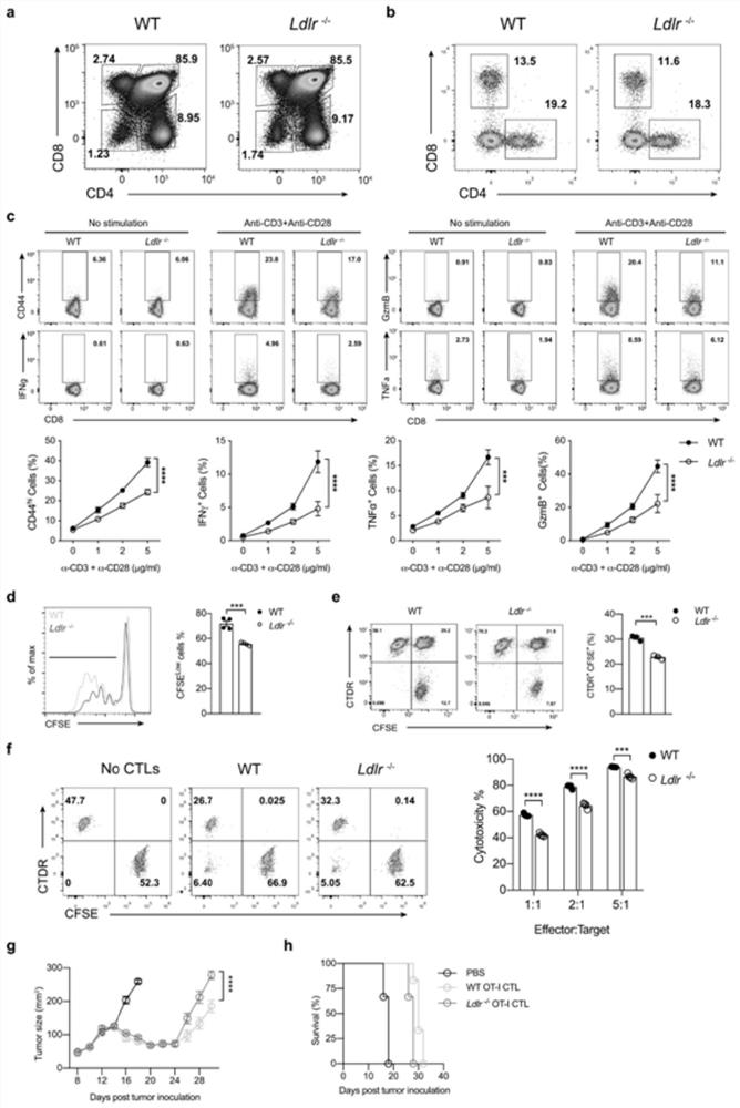 Application of LDLR (Low-Density Lipoprotein Receptor) in tumor immunotherapy and enhancement of immune effect of immune cells