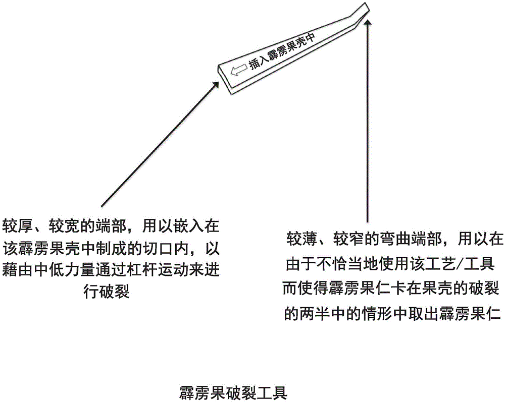 Process and tool used for breaking shell of pilinut