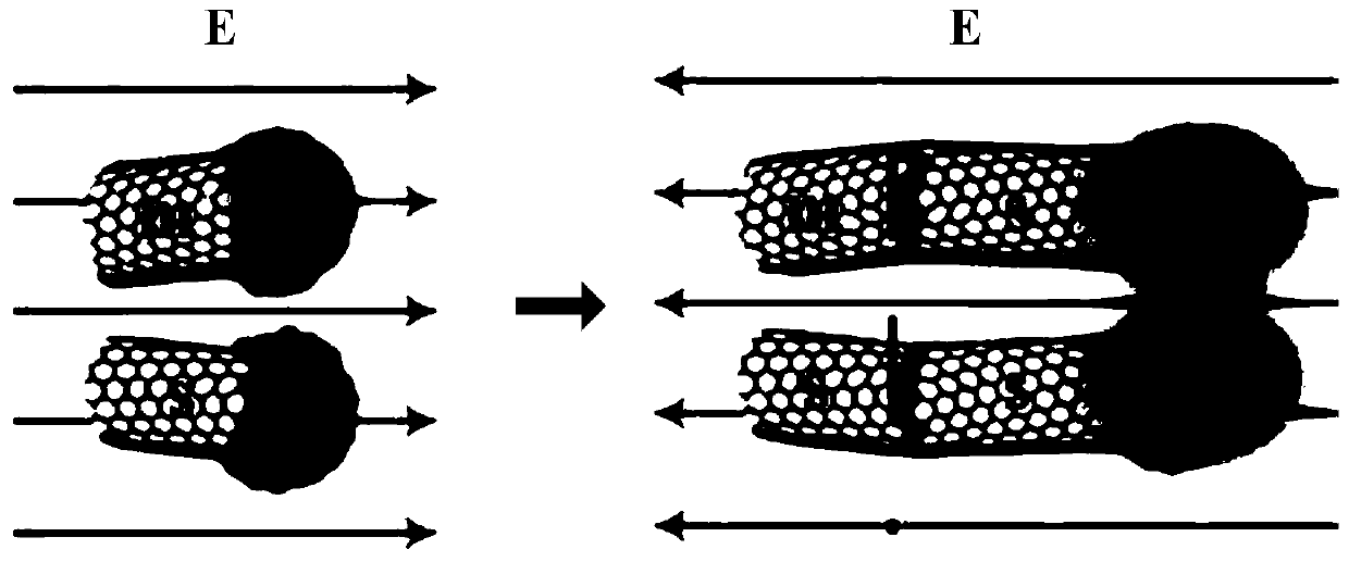 Preparation method of carbon nanotube