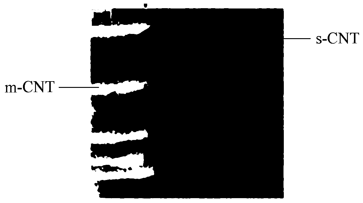 Preparation method of carbon nanotube