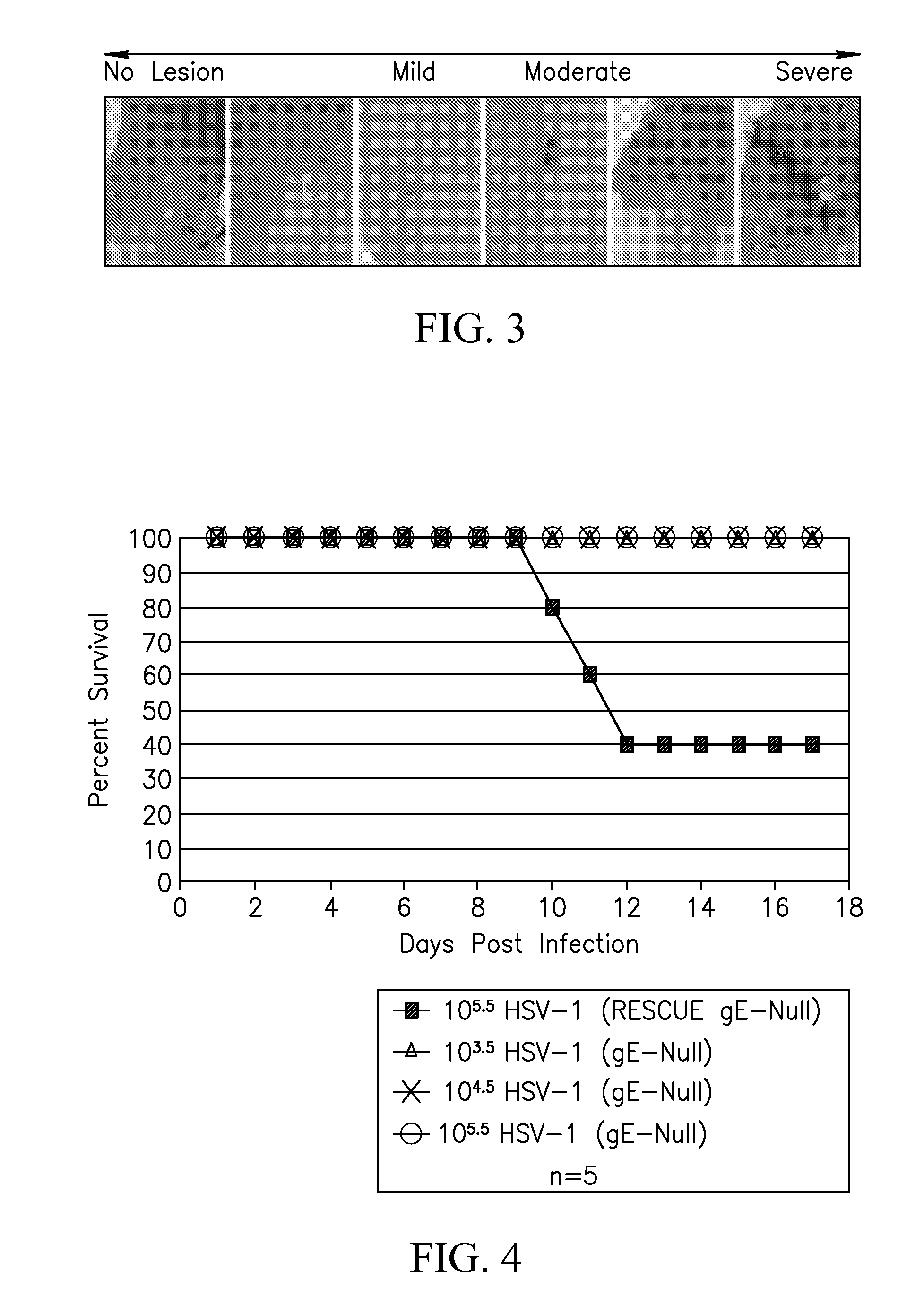 Hsv-1 and hsv-2 vaccines and methods of use thereof