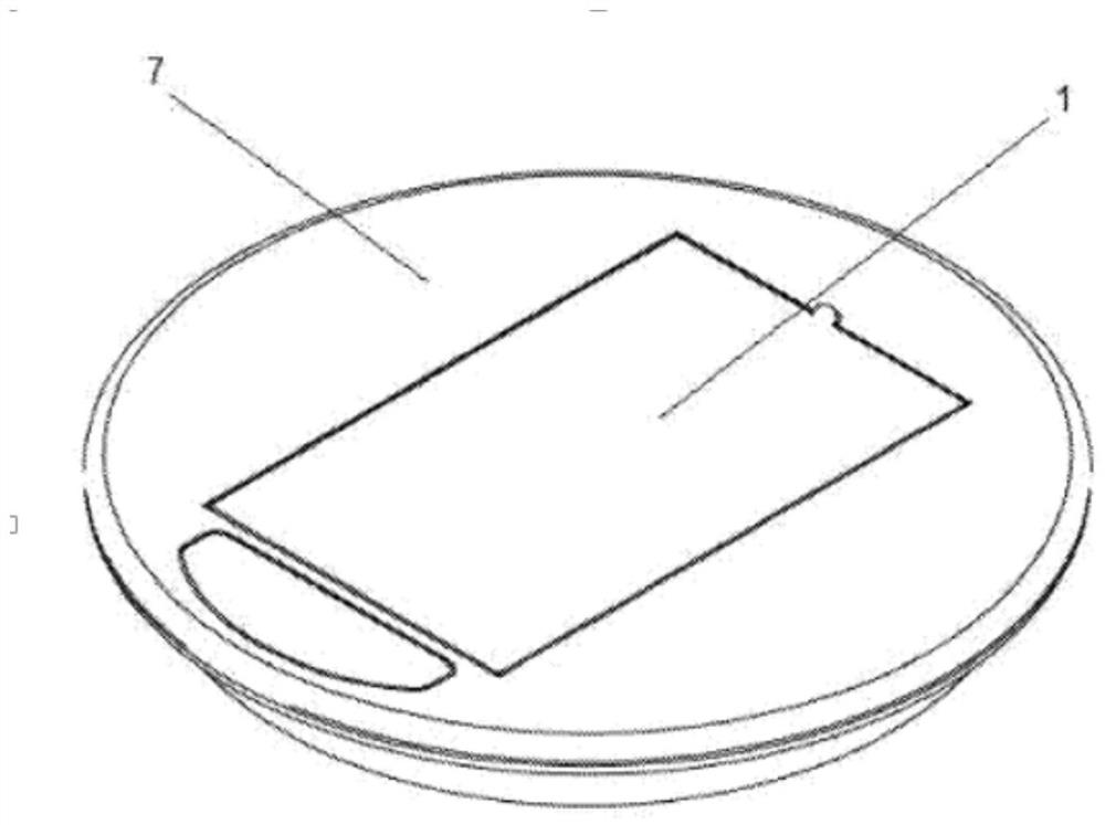 Electrode holder for purifying water and floating device that comprises same