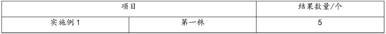 Planting method of white orchid