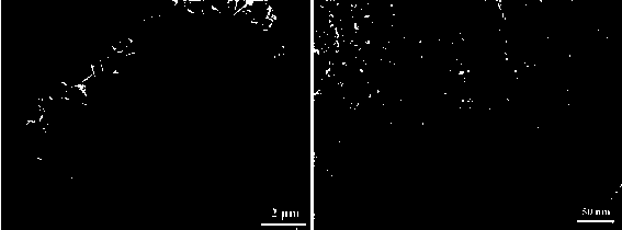 Preparation method and application of derivative catalyst based on LDH fixed transition MOF