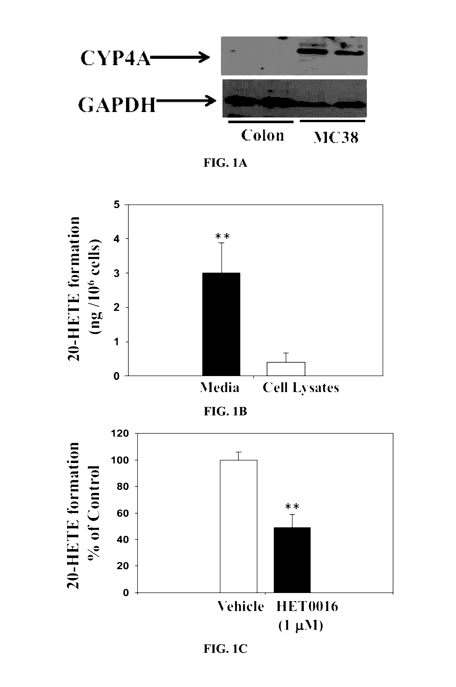 Compositions and methods for treating cancer