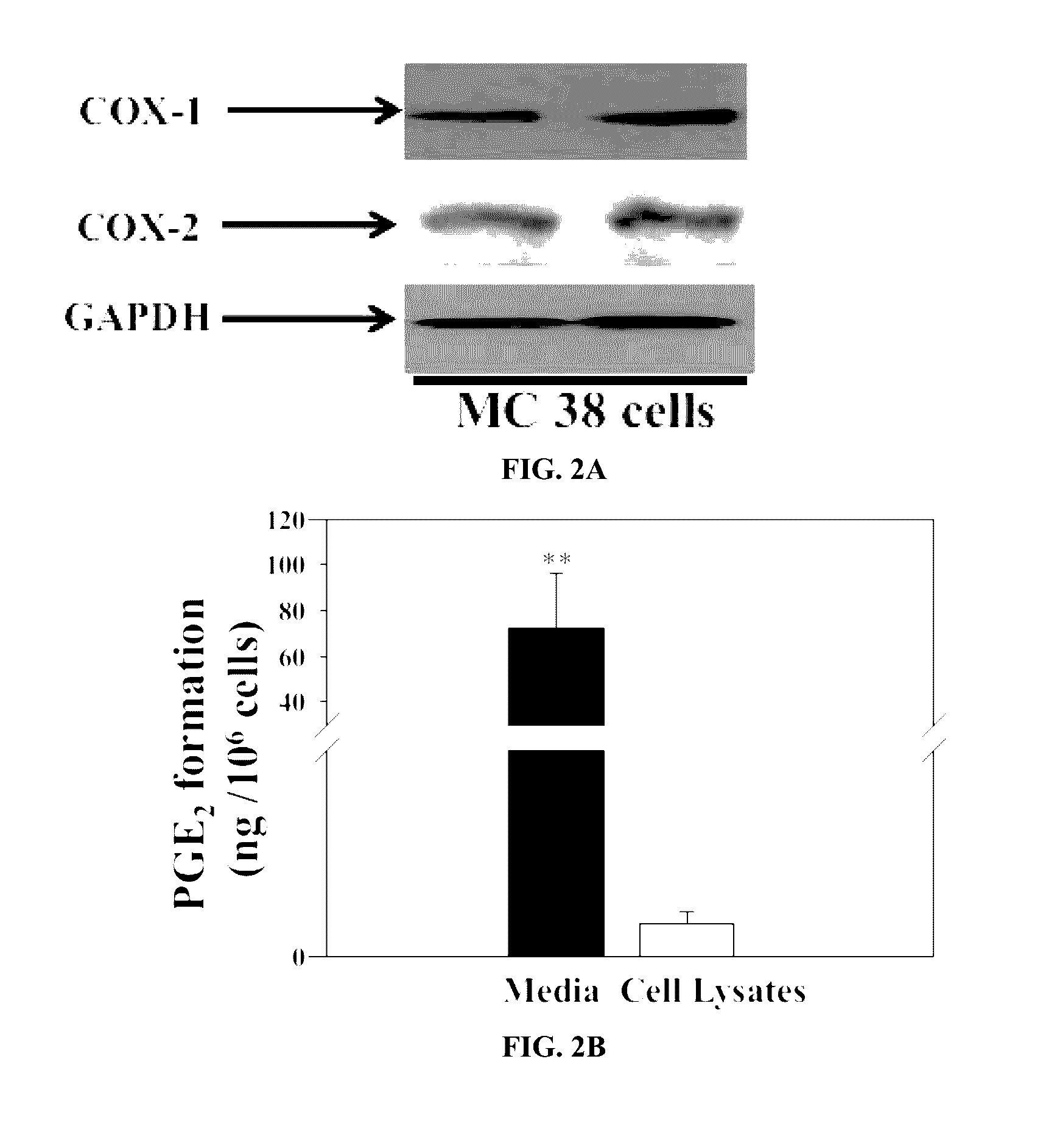 Compositions and methods for treating cancer