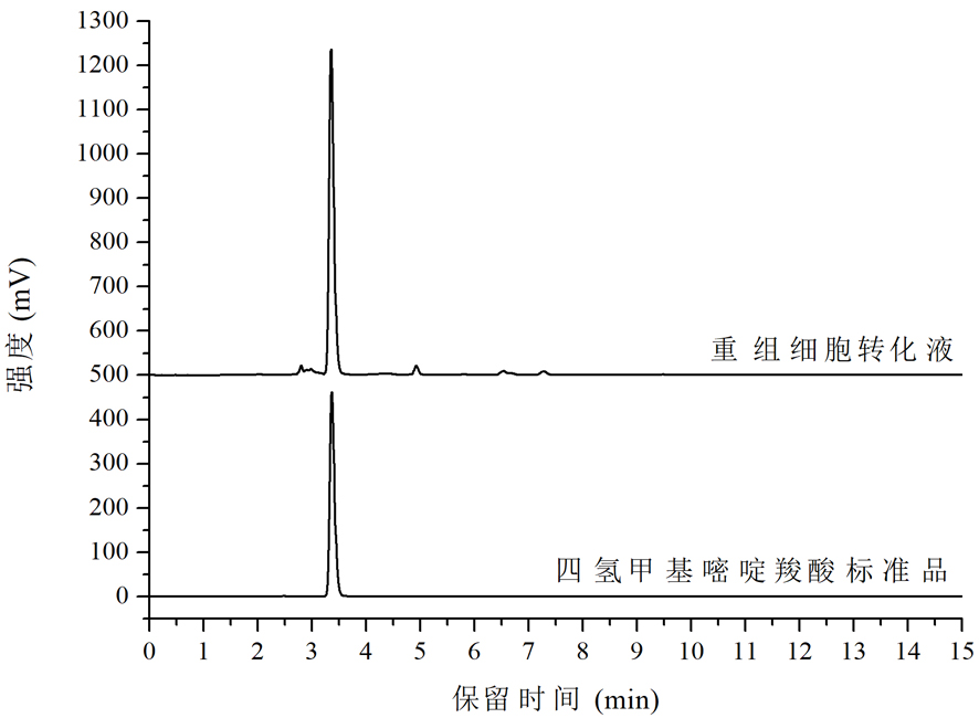 Tetrahydromethylpyrimidine carboxylic acid biosynthetic gene and application thereof