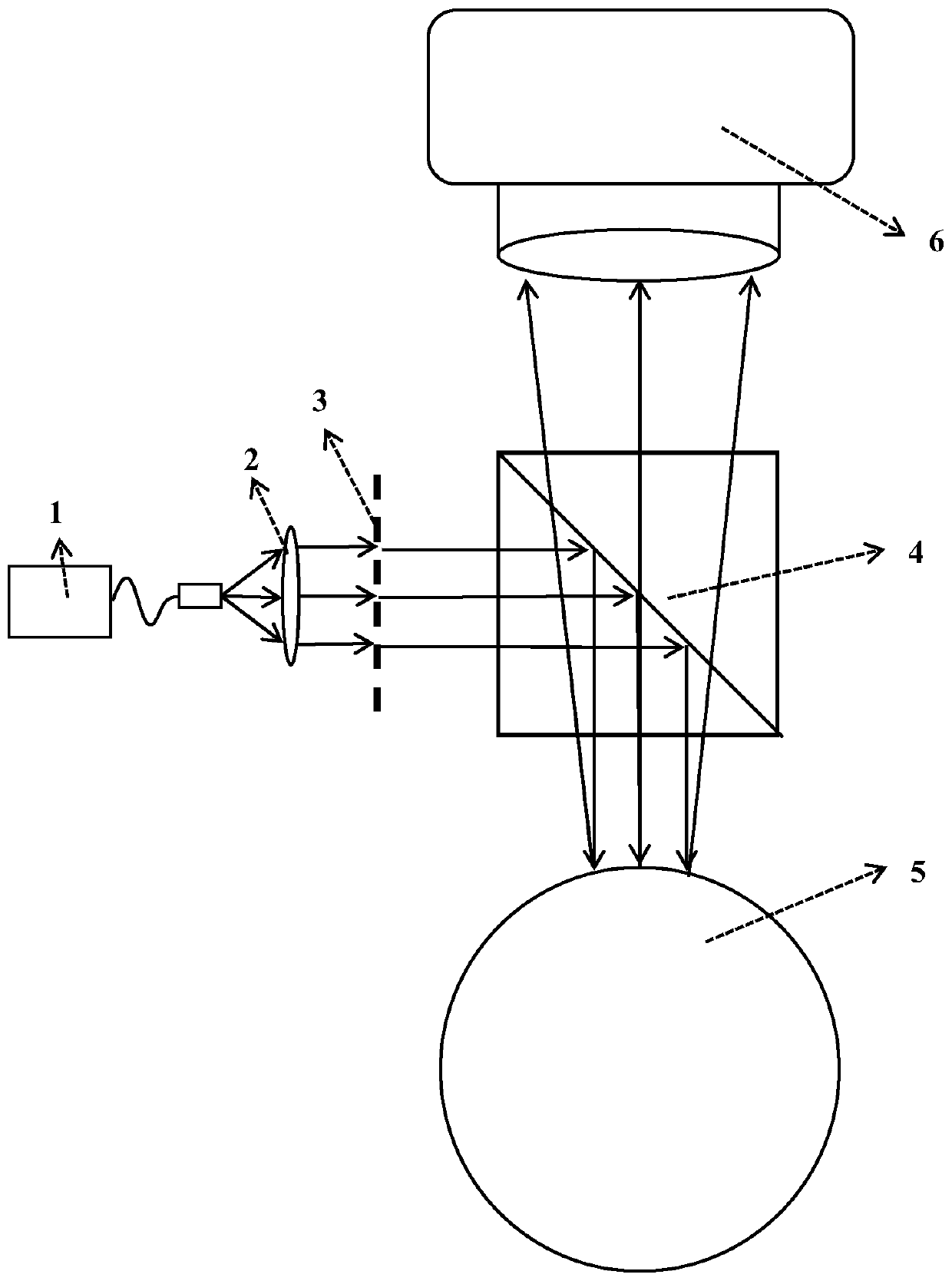 Grating Talbot image-based object surface curvature detection system and method