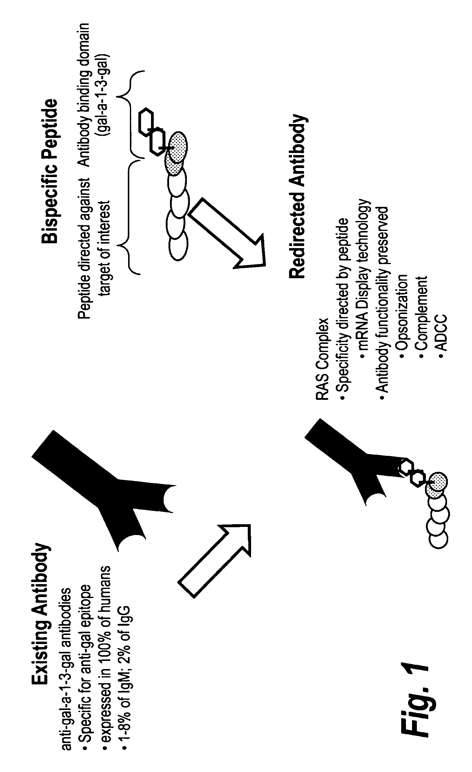 High affinity adaptor molecules for redirecting antibody specifity