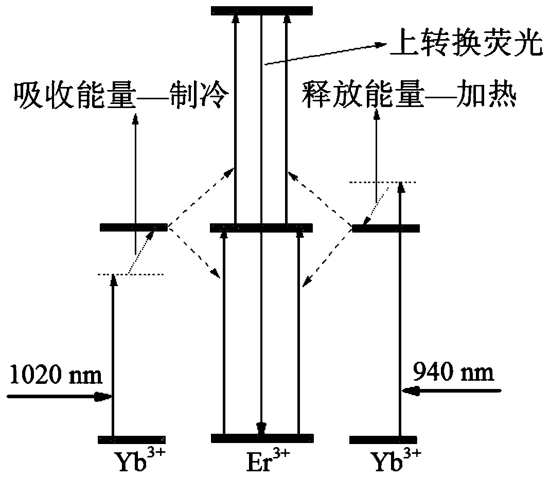 A Feedback Photothermal Therapy Apparatus Excited by Dual Wavelengths