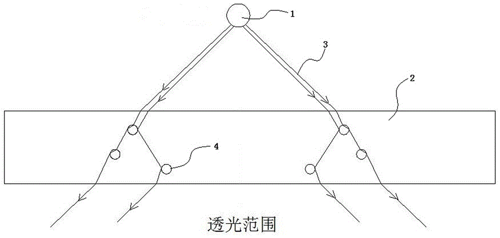 Halation material, preparing method, electronic light guide equipment