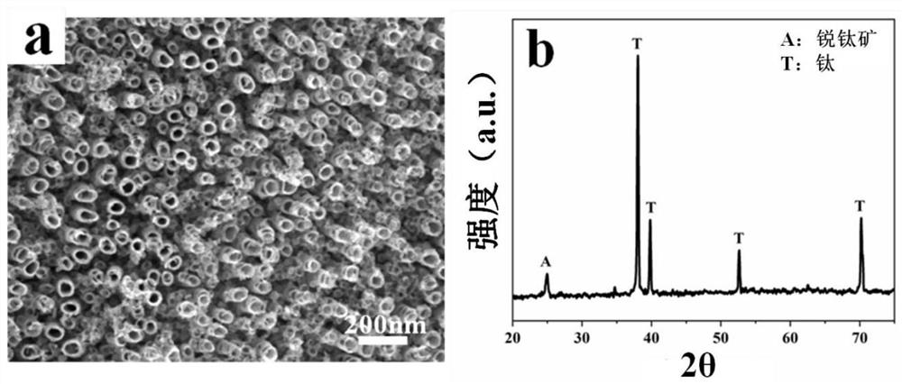 Cut-off carbon nanotube and TiO2 nanotube array heterostructure and preparation method and device thereof