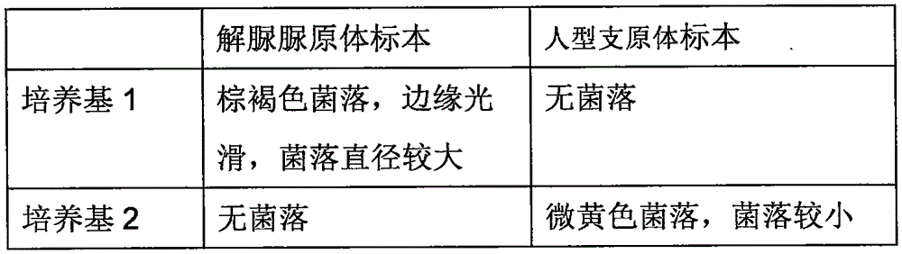 Rapid culture method and culture medium of ureaplasma urealyticum