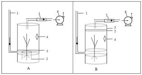 Device and monitoring method for in-situ research on ammonia exchange in crop canopy