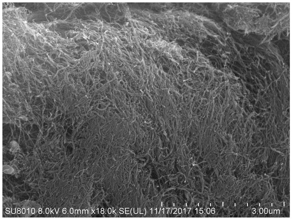 Preparation method of trimanganese tetraoxide/nitrogen-doped carbon nanotube composite material