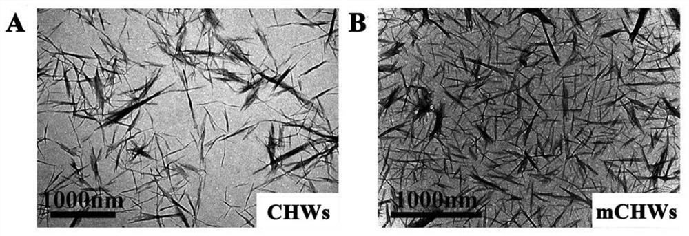 A layer-by-layer self-assembled chitin whisker-modified polylactic acid composite material and its preparation method and application