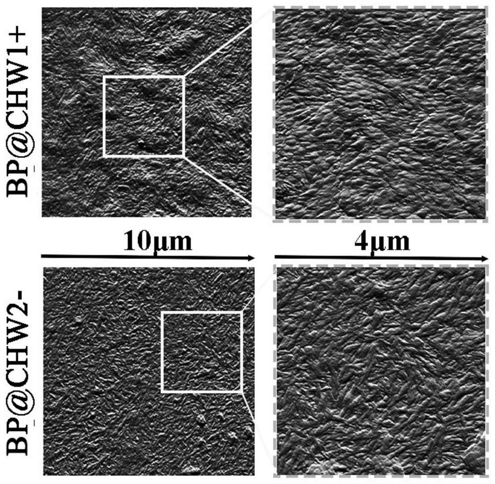 A layer-by-layer self-assembled chitin whisker-modified polylactic acid composite material and its preparation method and application