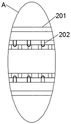 Graphene wood board preparation device and method