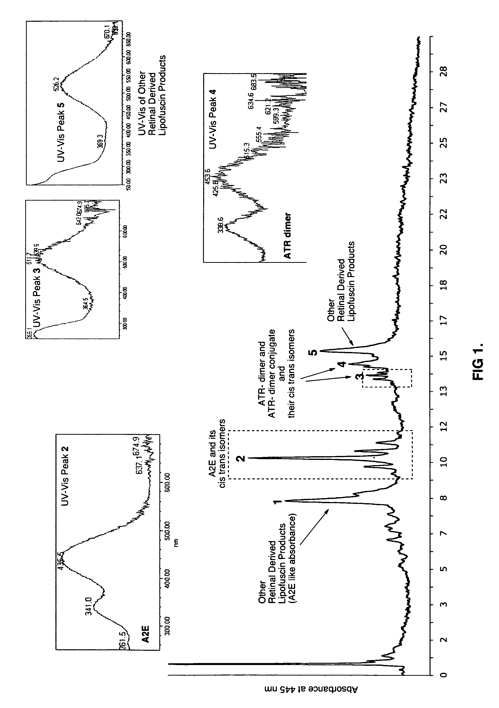 Compositions and methods for treating macular degeneration