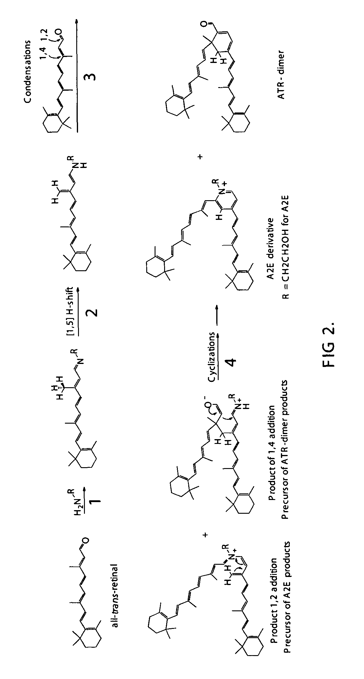 Compositions and methods for treating macular degeneration