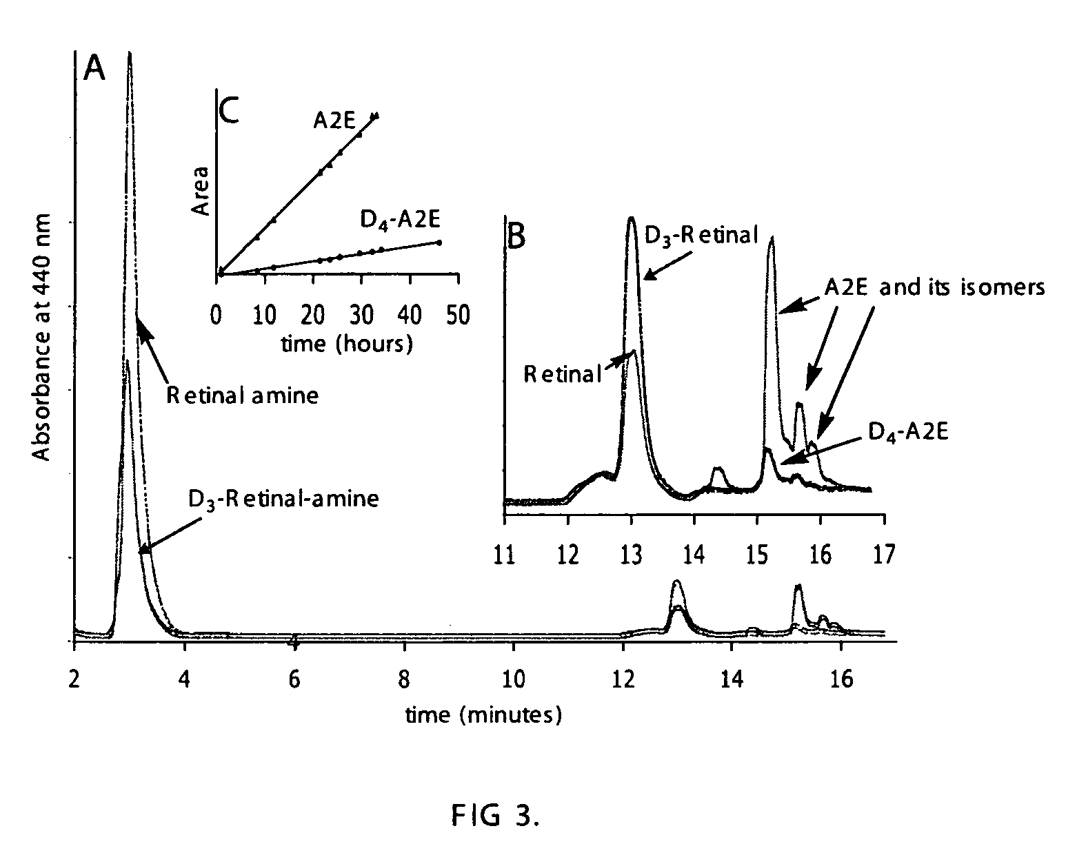 Compositions and methods for treating macular degeneration